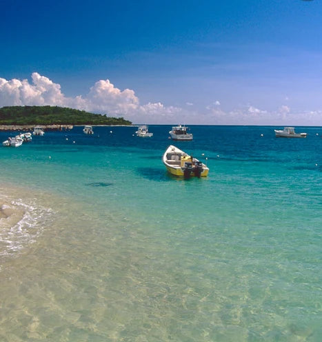 Vieques Island Add ons for Sunseeker Boat