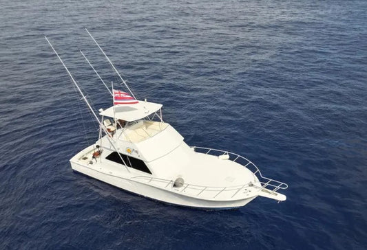 Why a Private Yacht Charter is the Best Way to Explore Puerto Rico