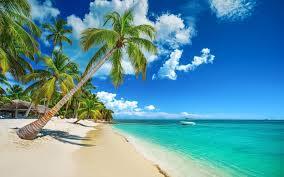 Things to Do in Dorado, PR