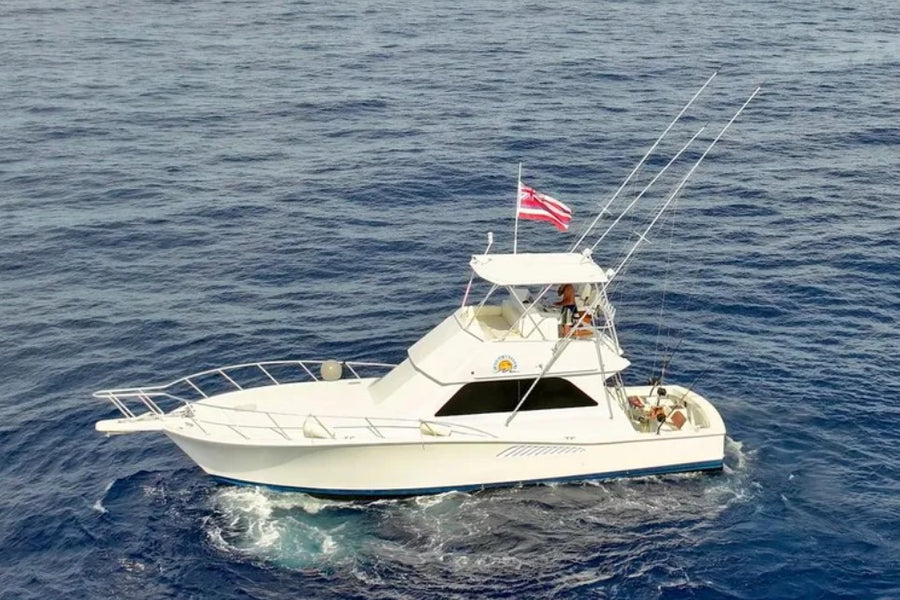 43' Viking cruiser